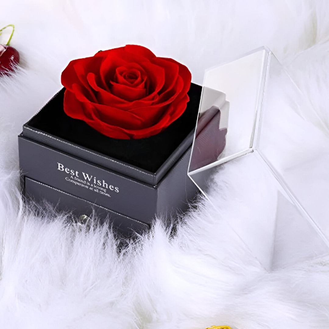 Eternal Valentine Rose + Free I Love You In 100 Languages Necklace