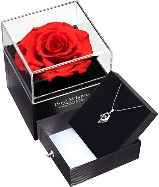 Eternal Valentine Rose + Free I Love You In 100 Languages Necklace