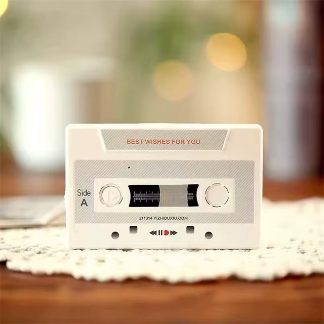 Voice Recorder