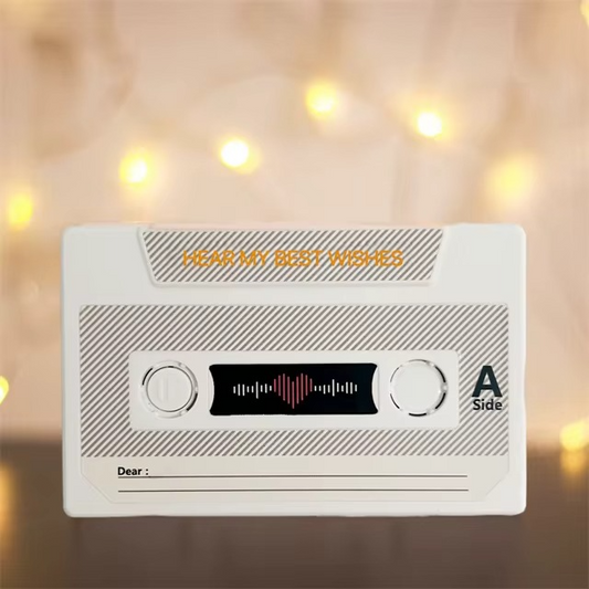 Voice Recorder